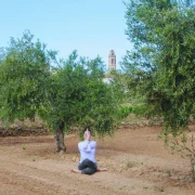 ioga entre oliveres