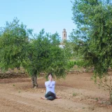 ioga entre oliveres