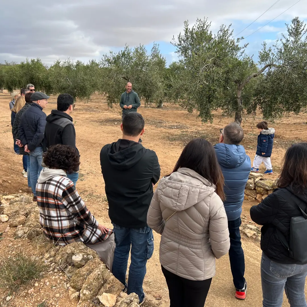 Grupo visitando olivos en Torclum