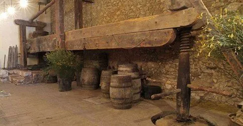 Capvespre entre oliveres