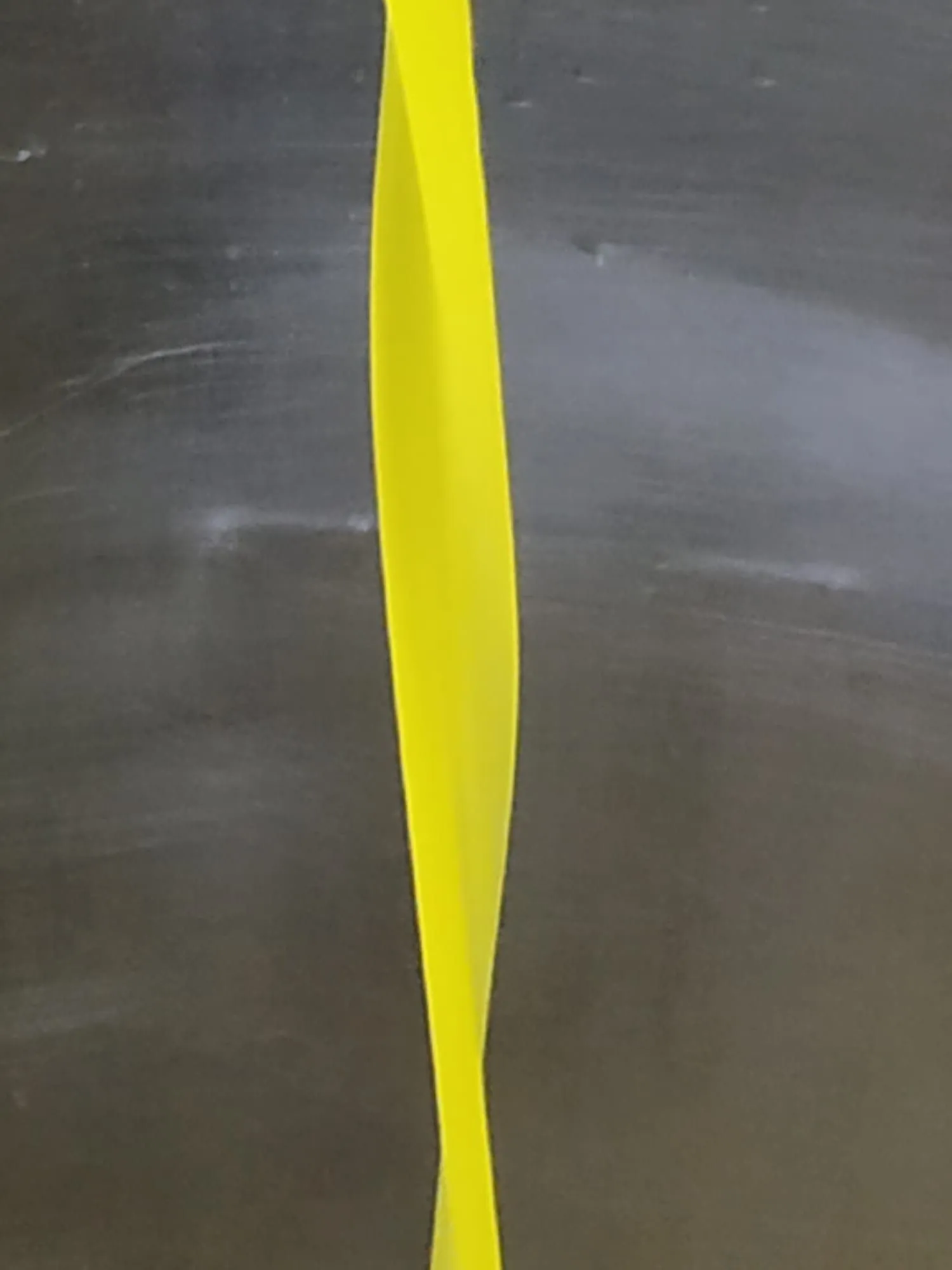 Rostada 2019
