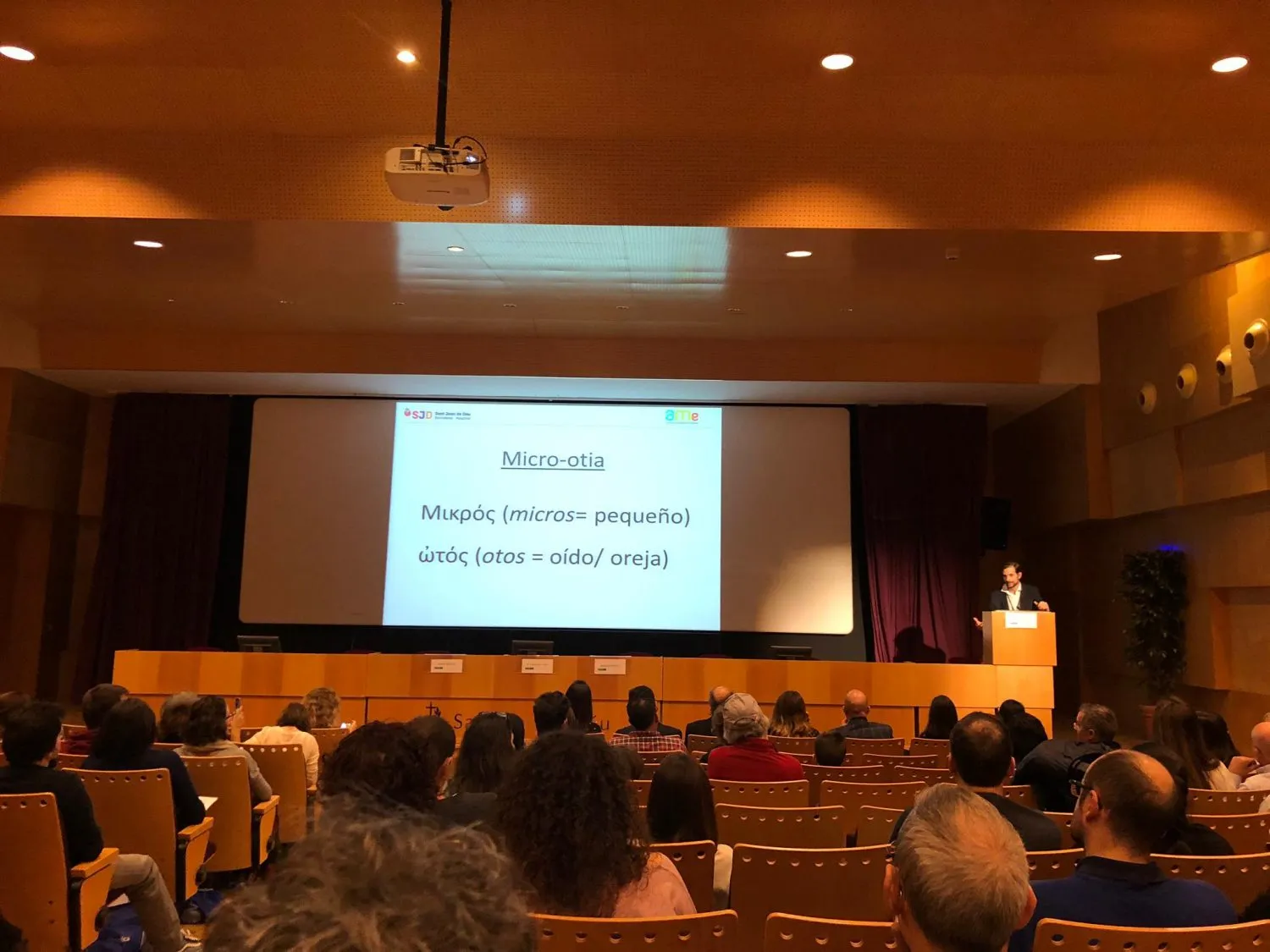MIcrotia