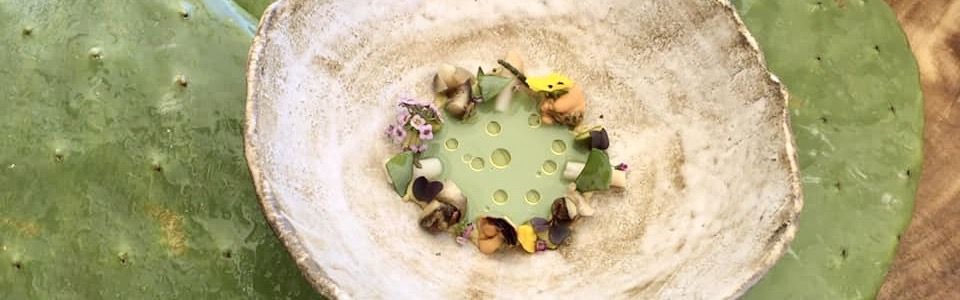 sopa nopal