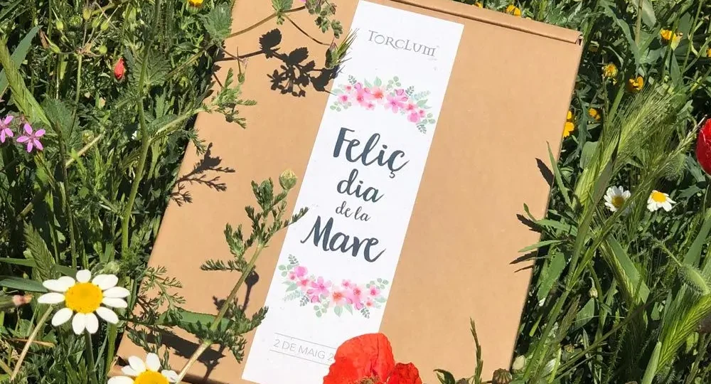 Dia de la mare