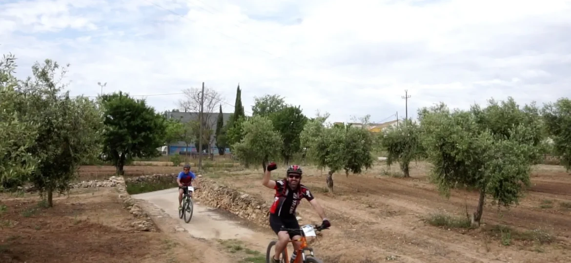 ebike