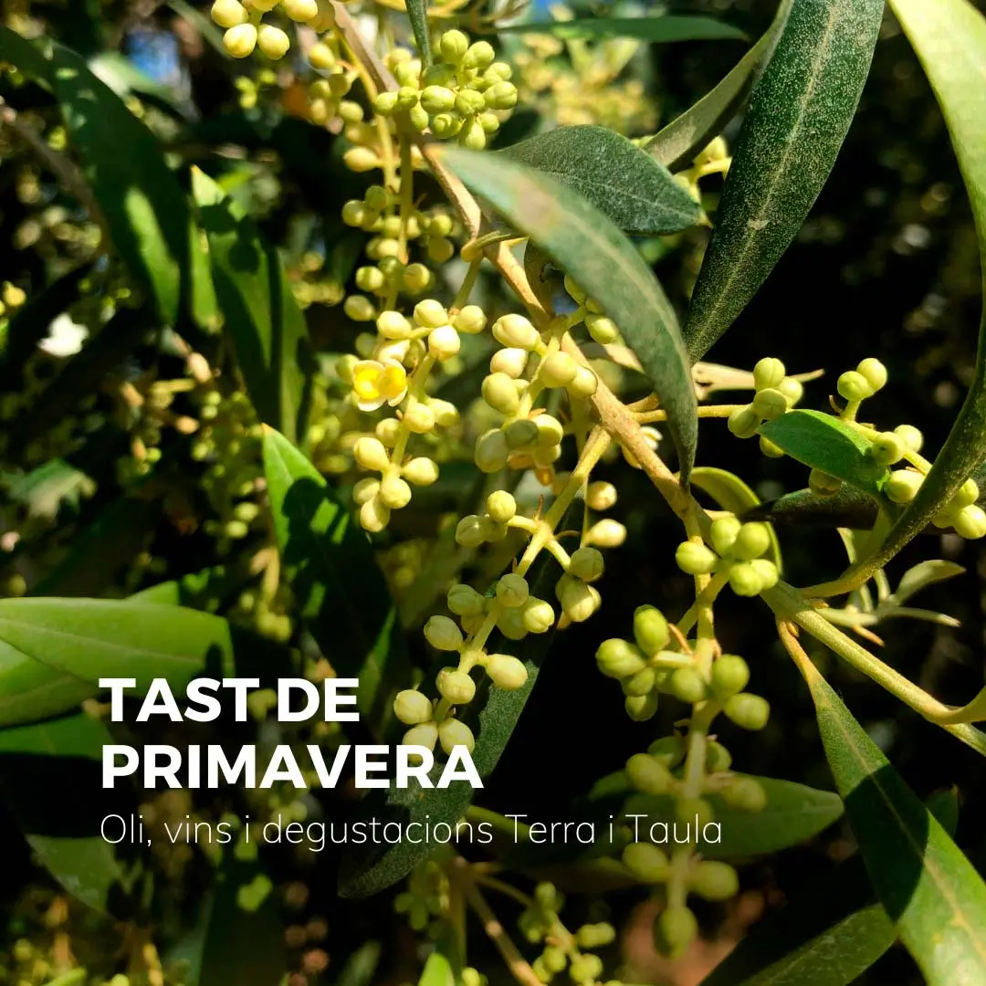 Tast de Primavera