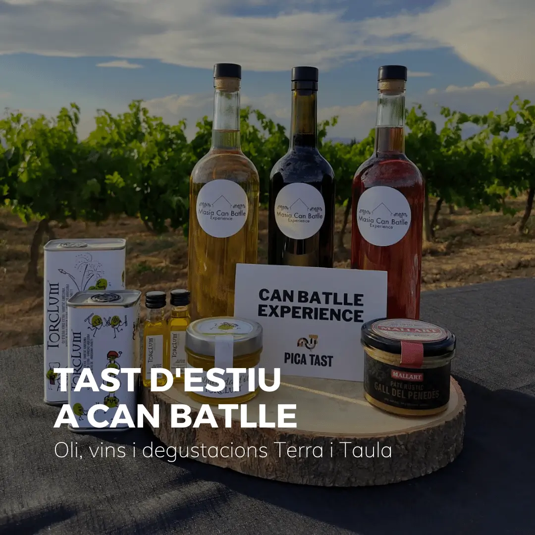 TOR - tast estiu can batlle