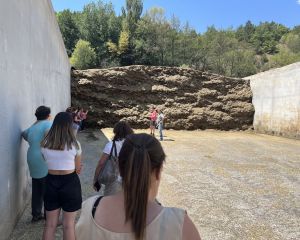 Jornada Dones