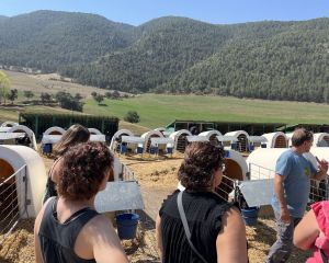 Jornada Dones