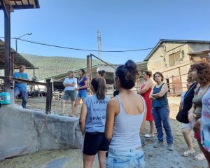 Jornada Dones
