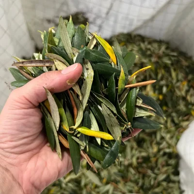 fulla separada
