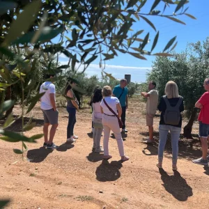 Oleoturisme al Baix Penedès