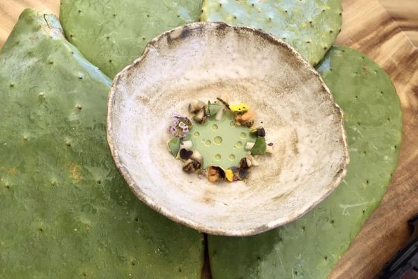 sopa nopal